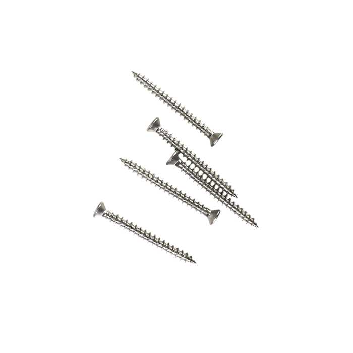 Schroeven 2,4 x 30 - RVS platte kop T15