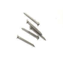 Schroeven 2,4 x 30 - RVS platte kop T15